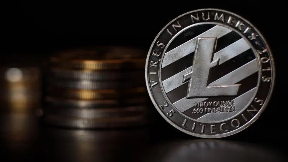 Litecoin Price Shows Resilience In Uncertain | Crypto News